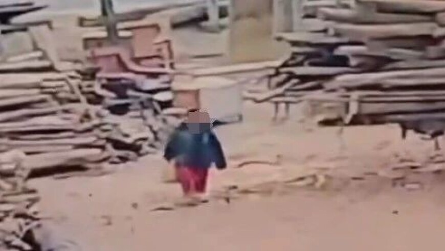 一点红心水高手论坛正版,桃李等畅销面包频现发霉异物问题,国产化作答解释落实_开发版V10.52